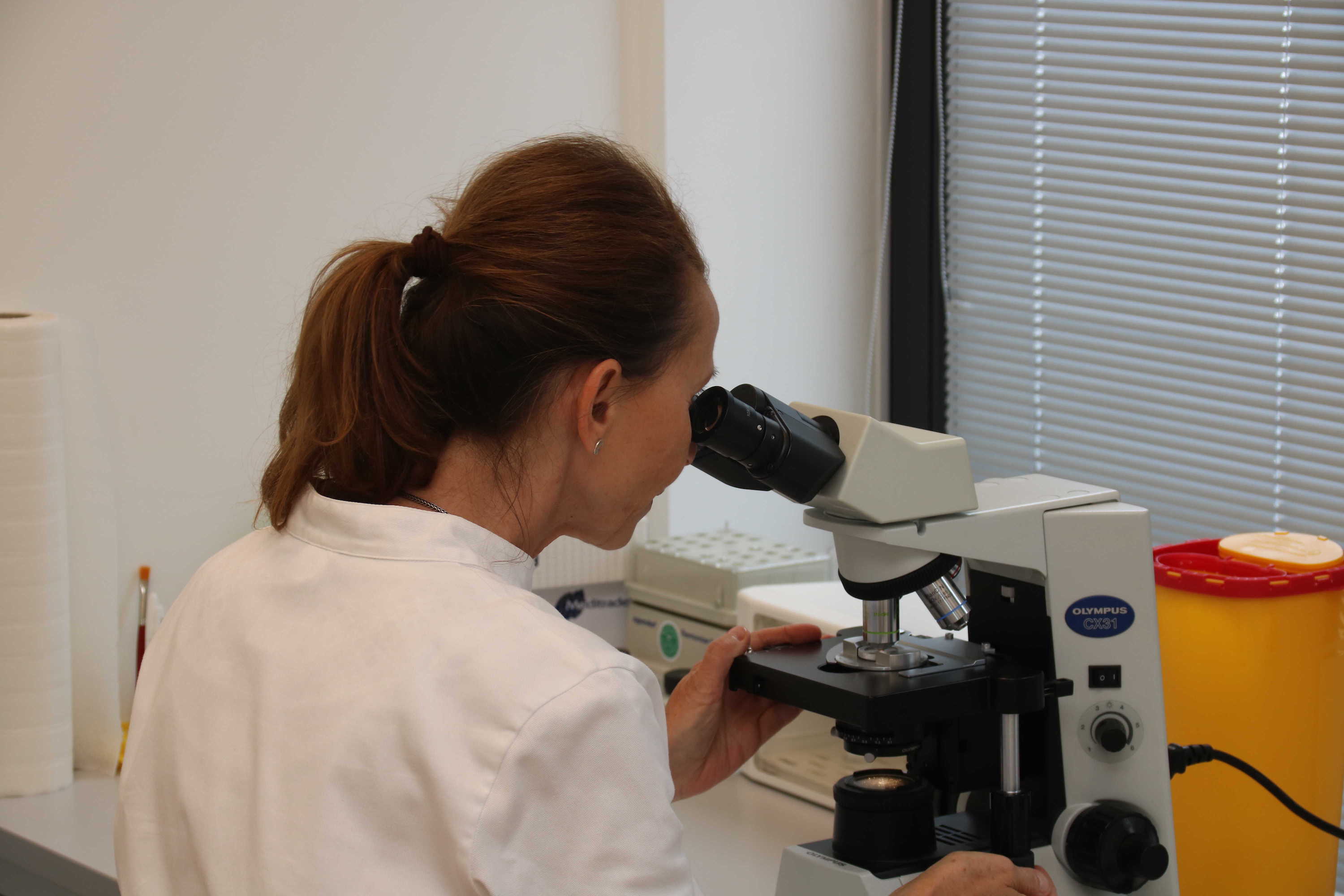 Galerie Praxis F r Endokrinologie Und Andrologie